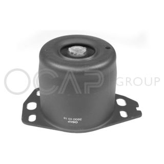Variklio montavimas OCAP 1226403