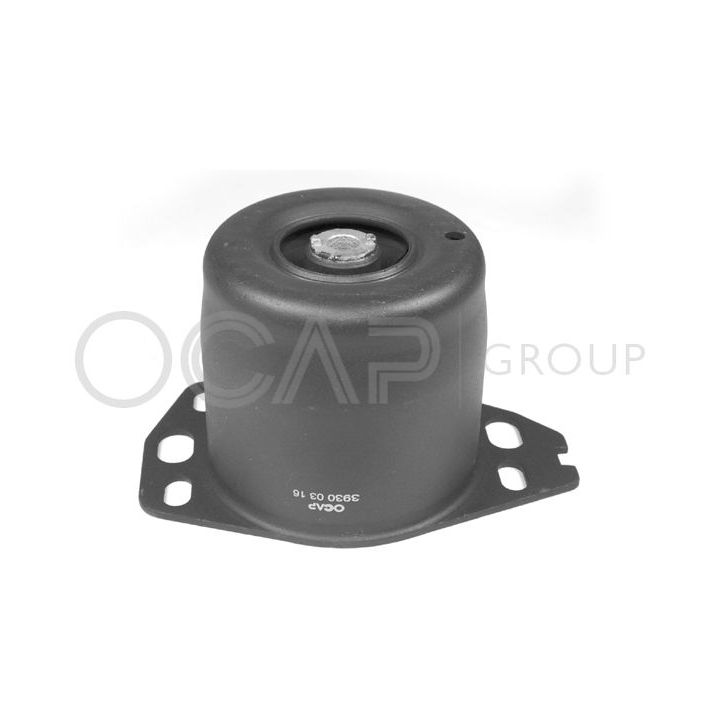 Variklio montavimas OCAP 1226403