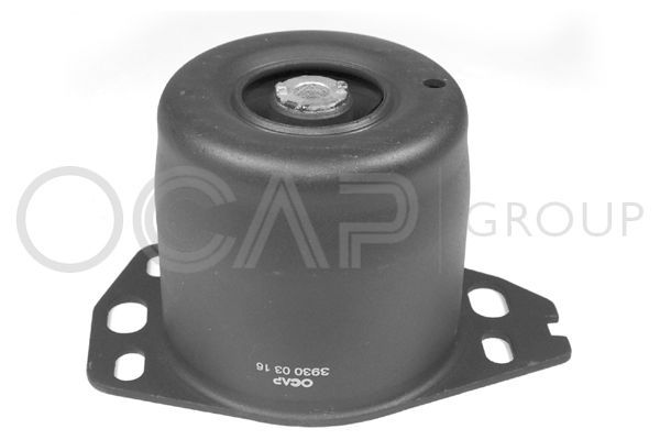 Variklio montavimas OCAP 1226403