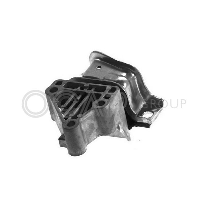 Variklio montavimas OCAP 1226408