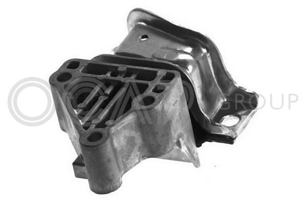 Variklio montavimas OCAP 1226408