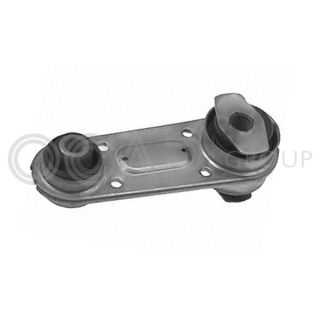 Variklio montavimas OCAP 1226414