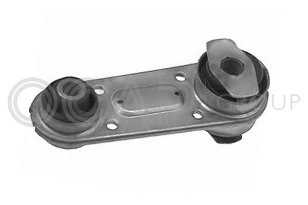 Variklio montavimas OCAP 1226414