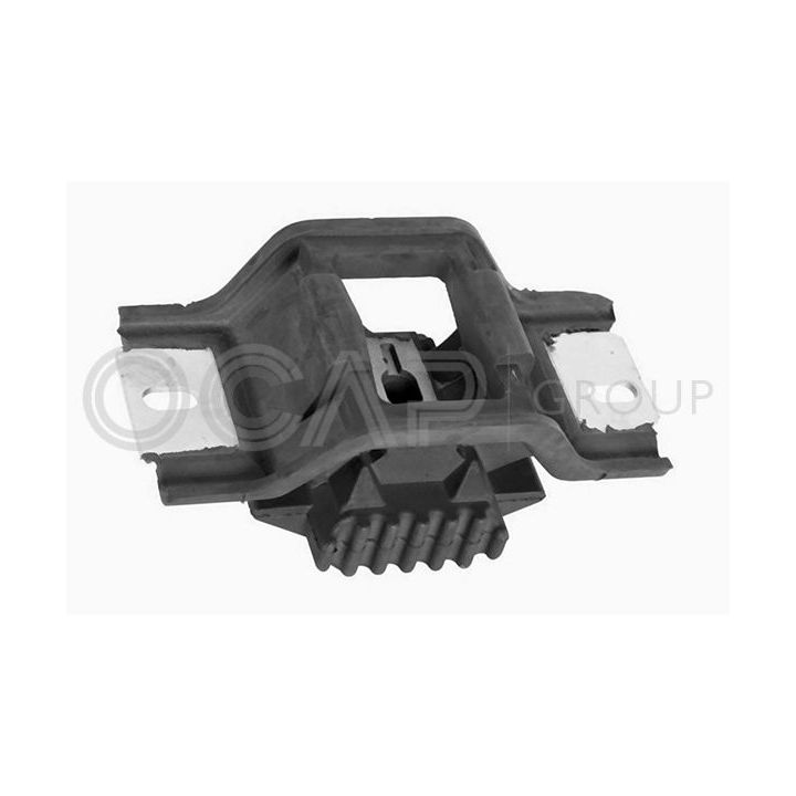 Variklio montavimas OCAP 1226452