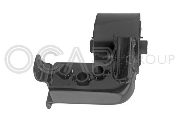 Variklio montavimas OCAP 1226453