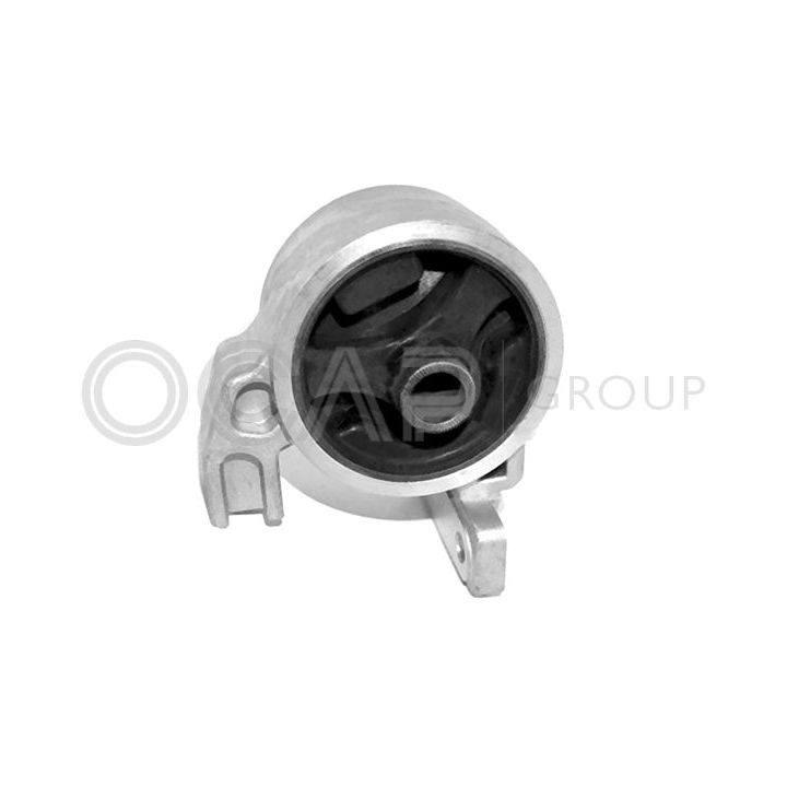 Variklio montavimas OCAP 1226457