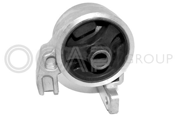 Variklio montavimas OCAP 1226457