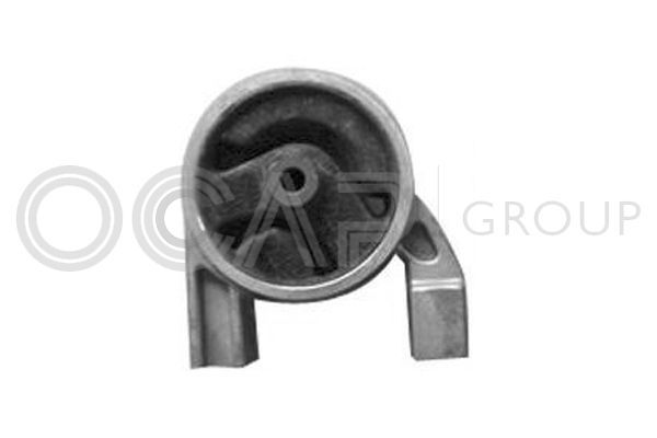 Variklio montavimas OCAP 1226459