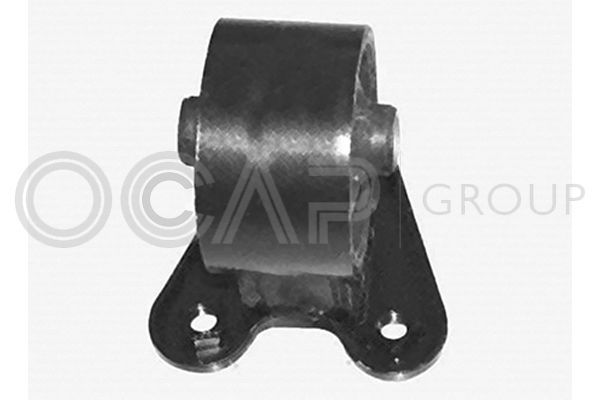 Variklio montavimas OCAP 1226460