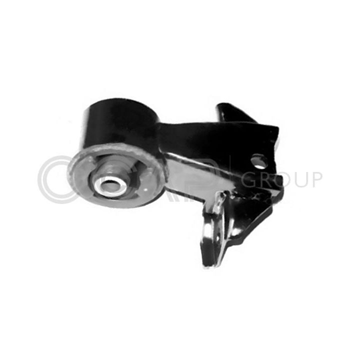 Variklio montavimas OCAP 1226461