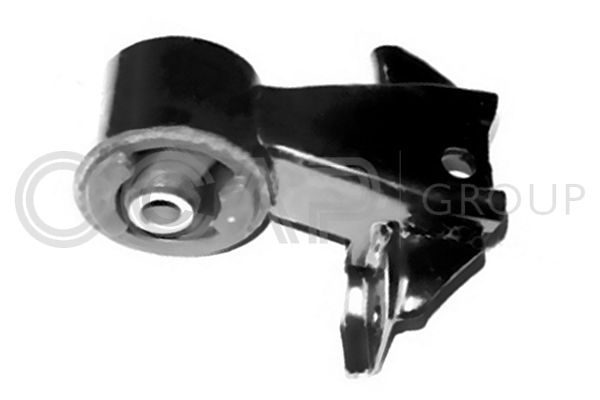 Variklio montavimas OCAP 1226461