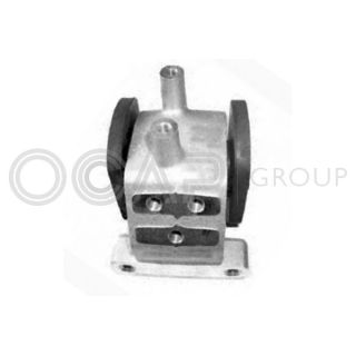 Variklio montavimas OCAP 1226463