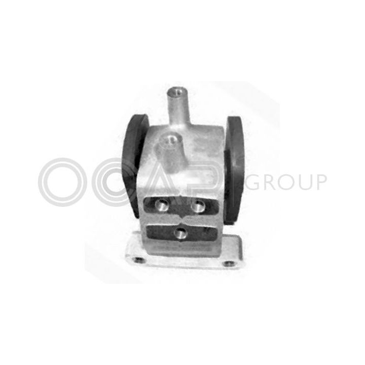 Variklio montavimas OCAP 1226463