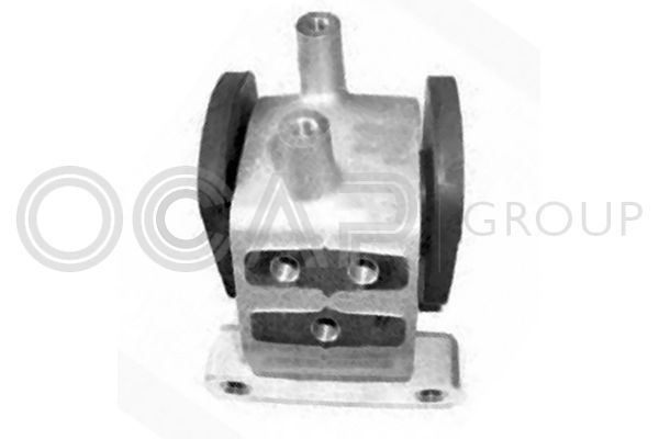 Variklio montavimas OCAP 1226463