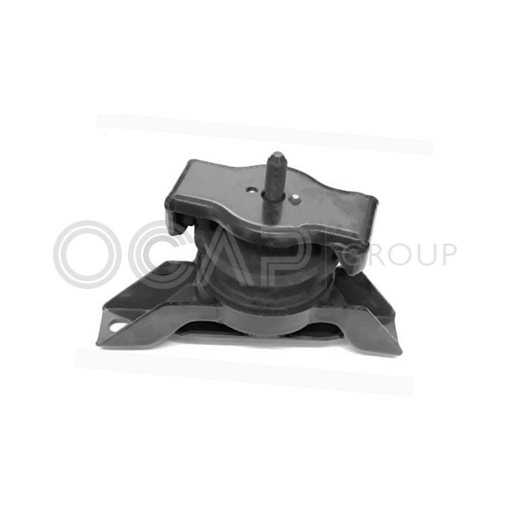 Variklio montavimas OCAP 1226464