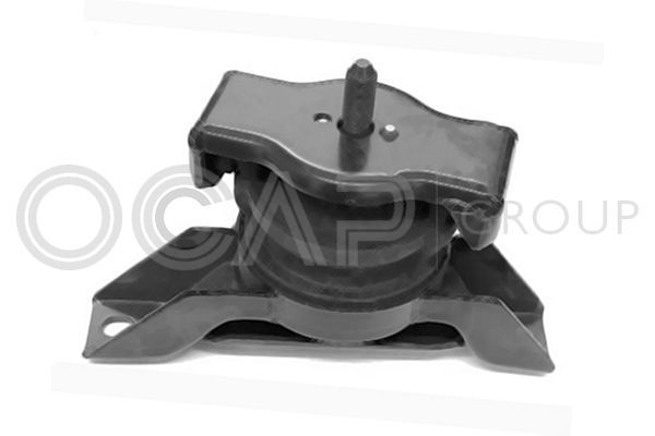 Variklio montavimas OCAP 1226464