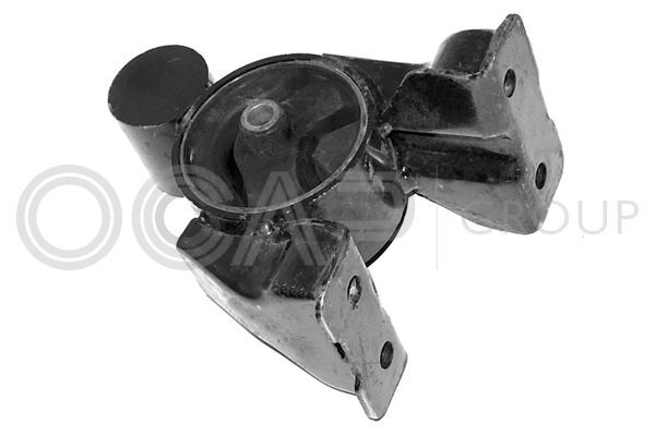 Variklio montavimas OCAP 1226467