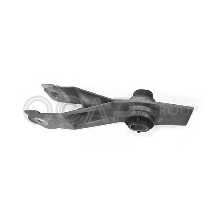 Variklio montavimas OCAP 1226528