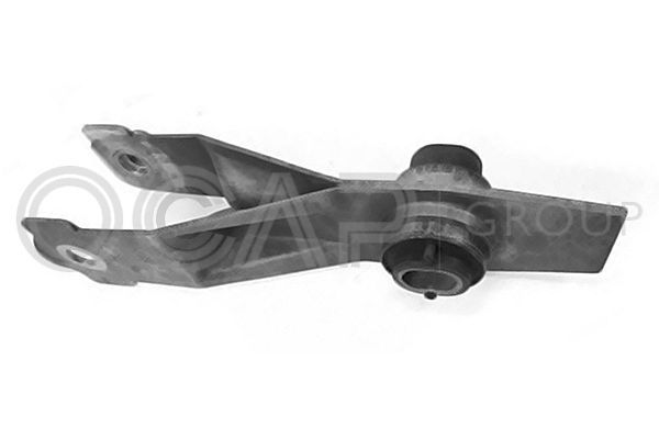 Variklio montavimas OCAP 1226528