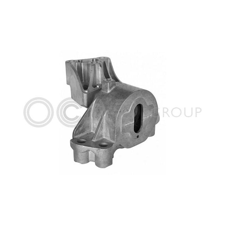 Variklio montavimas OCAP 1226529