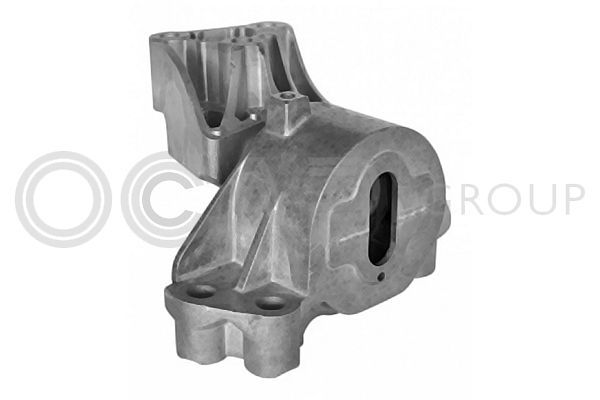 Variklio montavimas OCAP 1226529