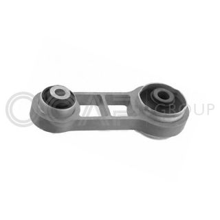 Variklio montavimas OCAP 1226535