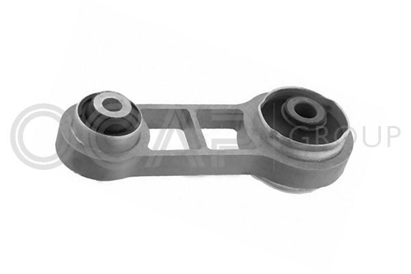 Variklio montavimas OCAP 1226535