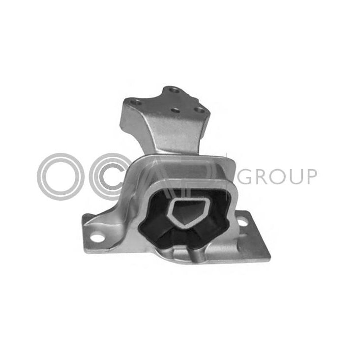 Variklio montavimas OCAP 1226549