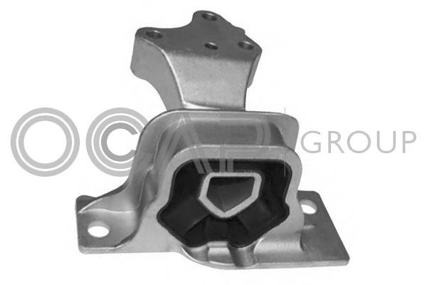 Variklio montavimas OCAP 1226549