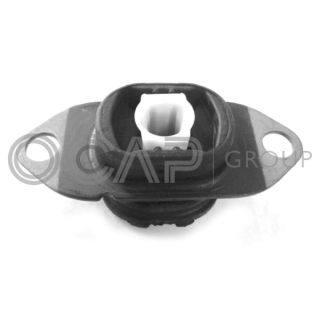 Variklio montavimas OCAP 1226554