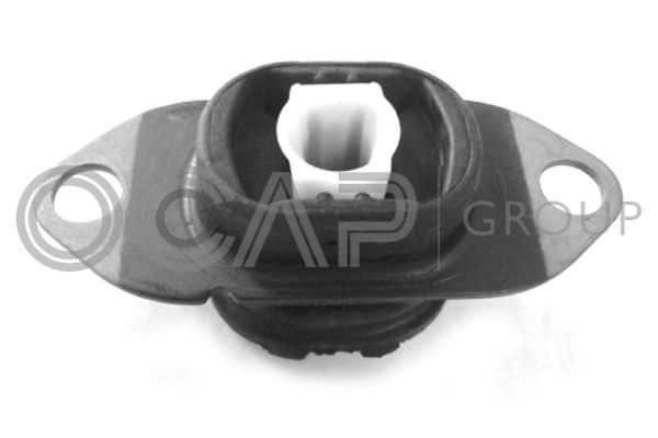 Variklio montavimas OCAP 1226554