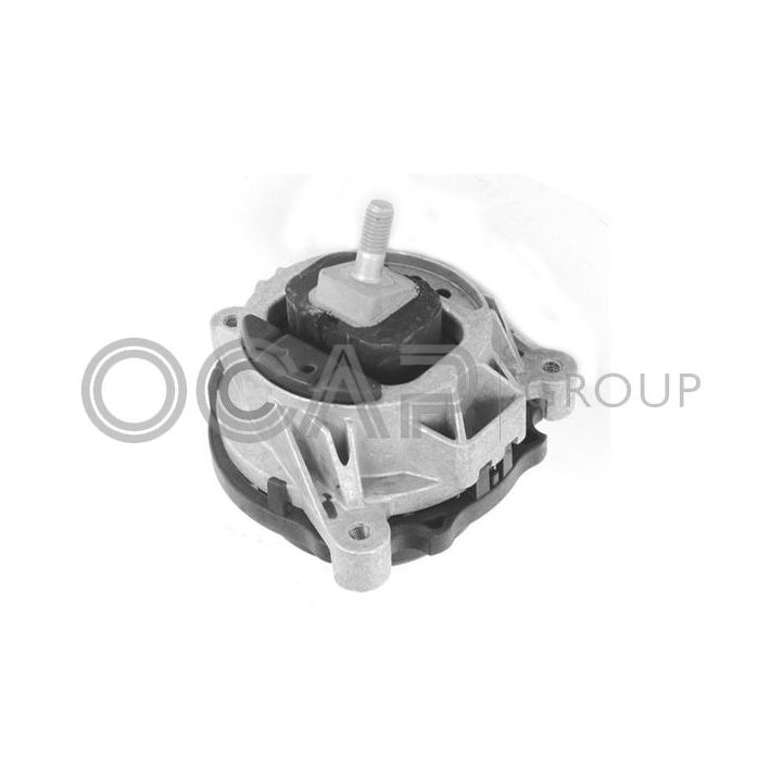 Variklio montavimas OCAP 1226556