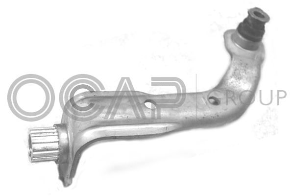 Variklio montavimas OCAP 1226561