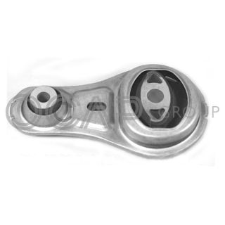 Variklio montavimas OCAP 1226562