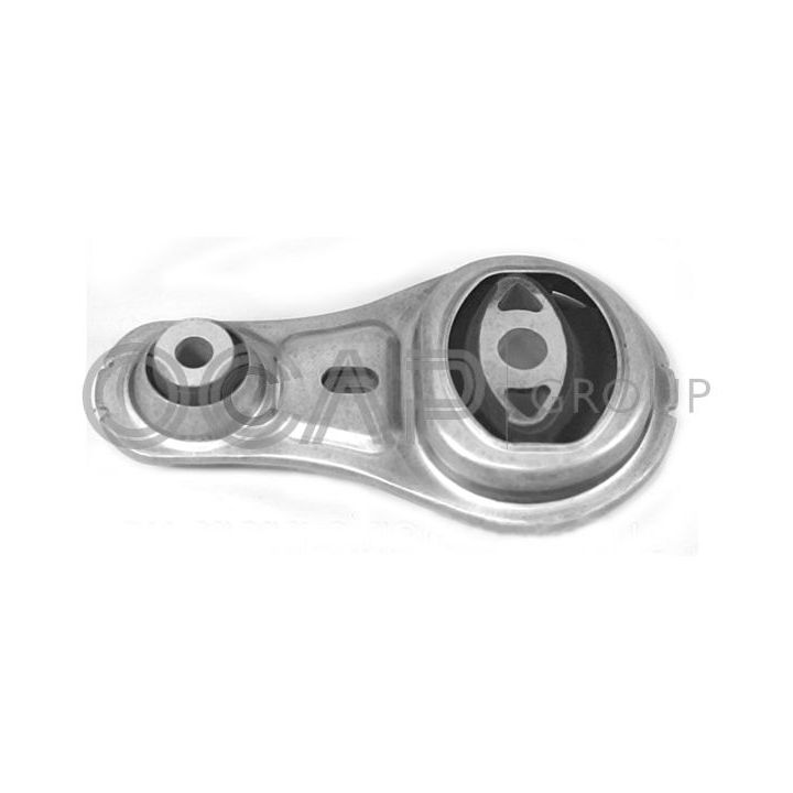 Variklio montavimas OCAP 1226562