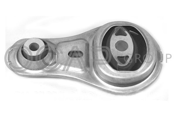 Variklio montavimas OCAP 1226562