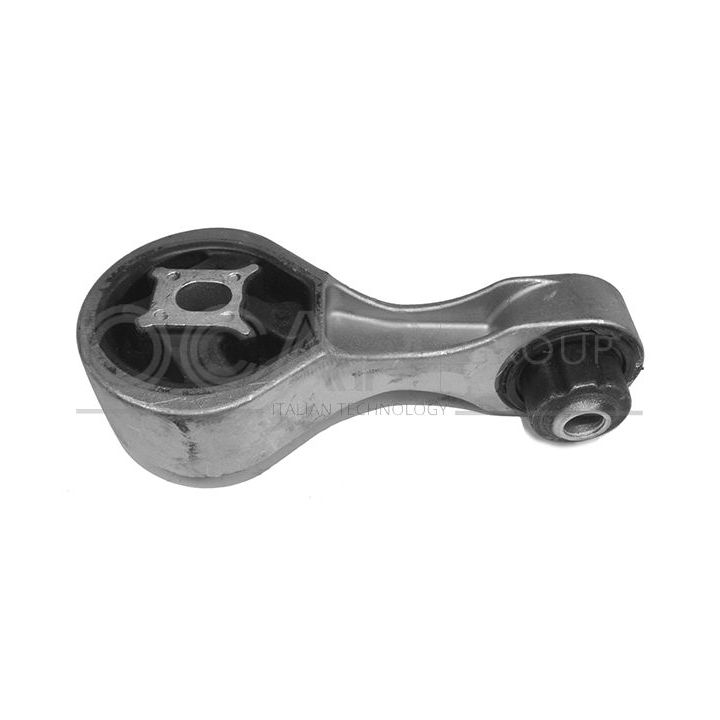 Variklio montavimas OCAP 1226606