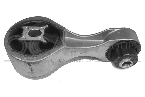 Variklio montavimas OCAP 1226606