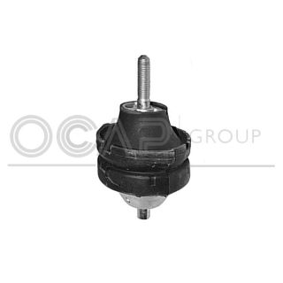 Variklio montavimas OCAP 1226624