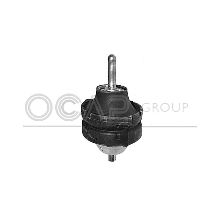 Variklio montavimas OCAP 1226624