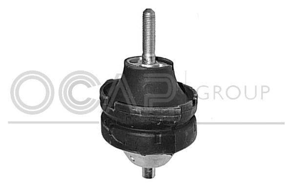 Variklio montavimas OCAP 1226624
