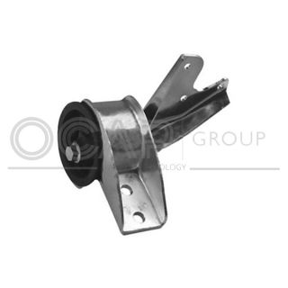 Variklio montavimas OCAP 1226634