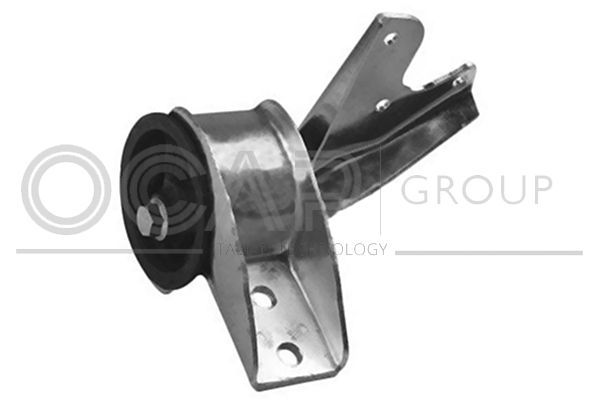 Variklio montavimas OCAP 1226634