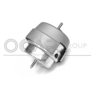 Variklio montavimas OCAP 1226636
