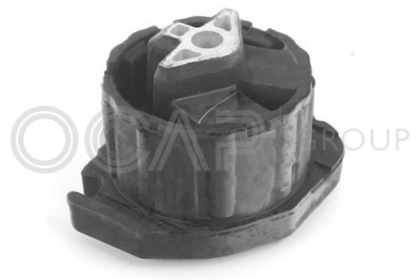 Montavimas, neautomatinė transmisija OCAP 1226547