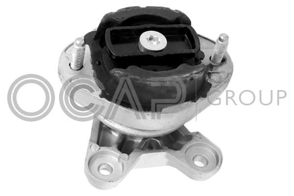 Montavimas, neautomatinė transmisija OCAP 1226558
