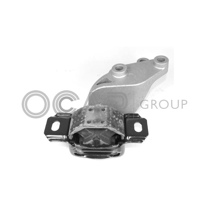 Montavimas, neautomatinė transmisija OCAP 1226564