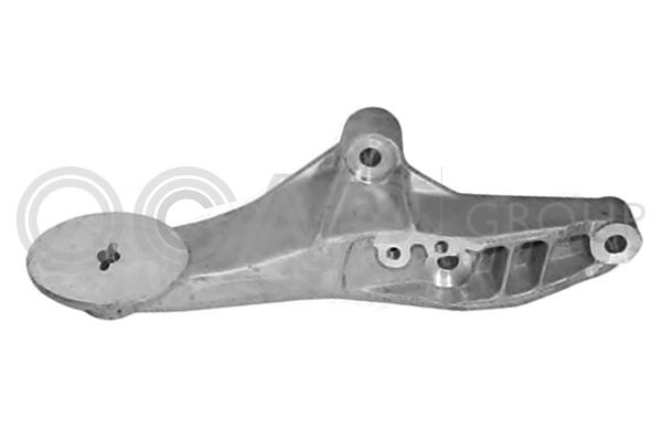 Laikiklis, variklio montavimas OCAP 1225943