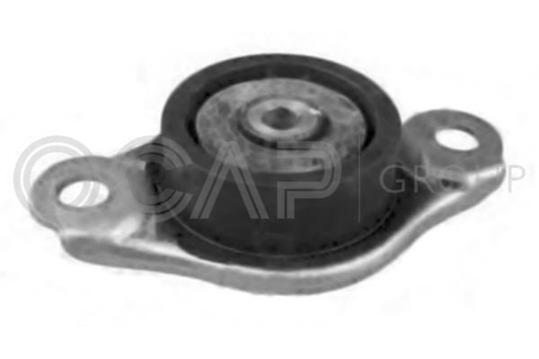 Laikiklis, variklio montavimas OCAP 1225947