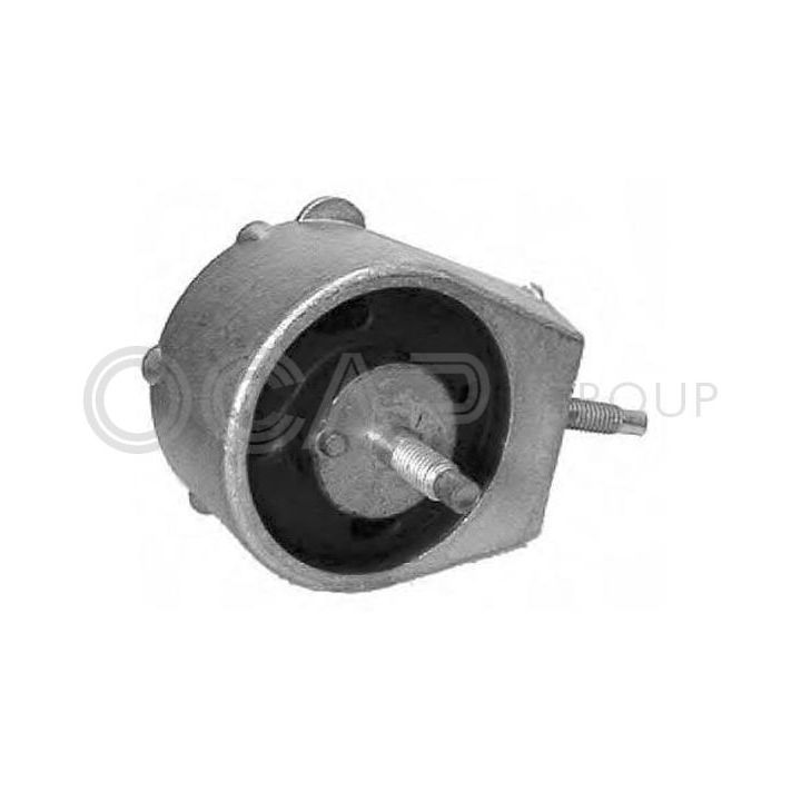 Laikiklis, variklio montavimas OCAP 1226316